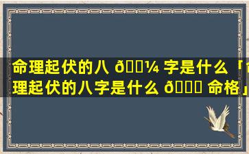 命理起伏的八 🌼 字是什么「命理起伏的八字是什么 🐞 命格」